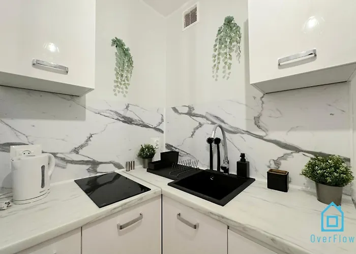 Turtle - 3 Km To Baltic Sea