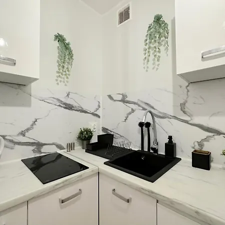 Turtle - 3 Km To Baltic Sea